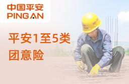 平安意外伤害保险(互联网)